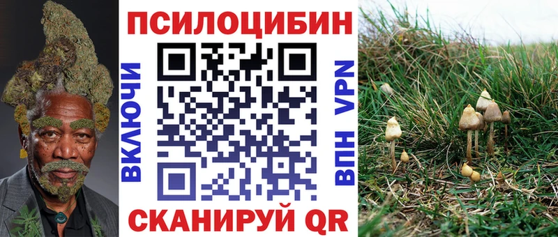 Псилоцибиновые грибы ЛСД  Хилок 